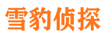 海伦找人公司